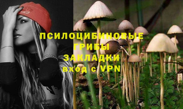 гашик Абаза