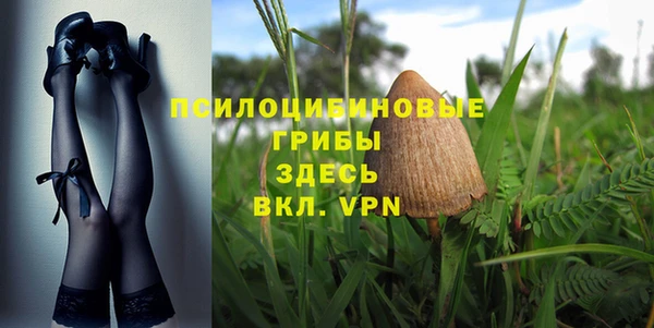 гашик Абаза